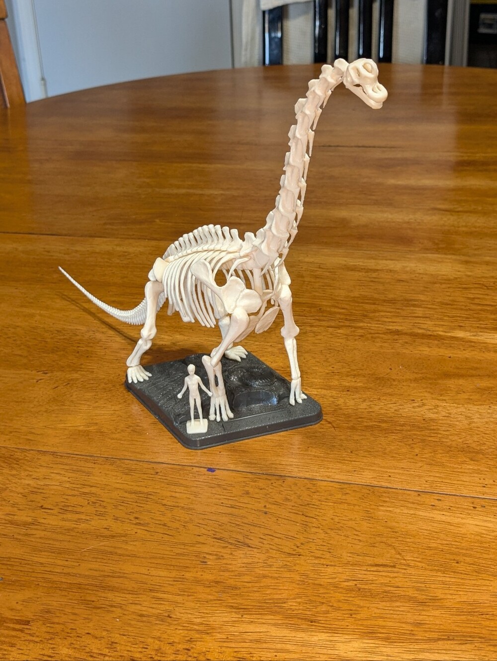 VTG 1980s Battat Brachiosaurus Skeleton Kit - Picture 3 of 7
